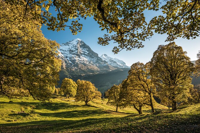 Grindelwald, Interlaken & Lauterbrunnen Day Trip from Zurich - What’s included, what isn’t, and how to avoid surprise costs
