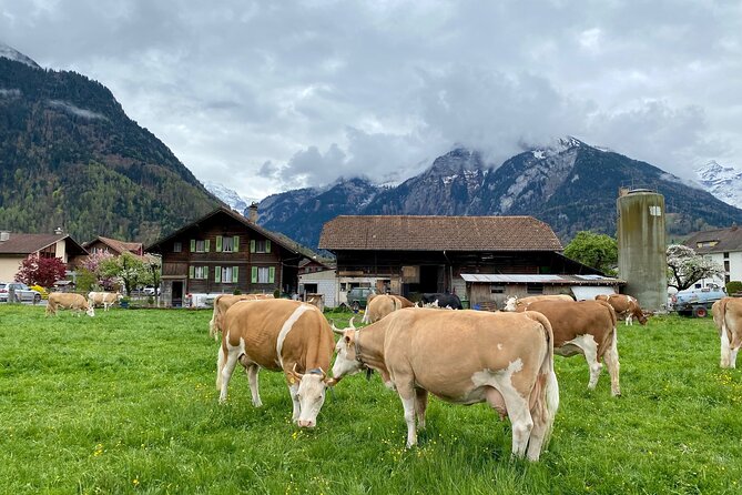 Grindelwald, Lauterbrunnen & Mürren Private Day Trip from Zurich - Gimmelwald Village Time: Small-Scale Views Without the Rush