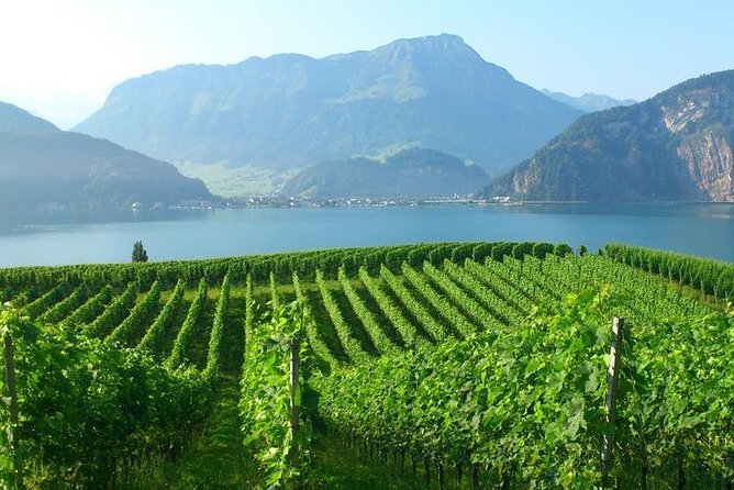 Half-Day Lake Lucerne Country Walk - Getting There: From Torbogen Luzern to Countryside Views