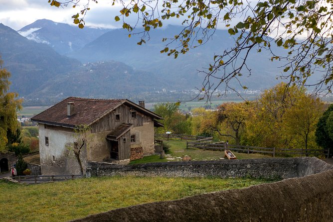 Heidiland and Liechtenstein Tour from Zurich - Heidiland near Maienfeld: goats, mountain houses, and what changes in winter