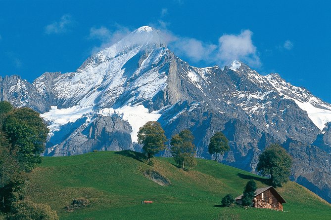 Interlaken and Grindelwald Day Trip from Lucerne - Interlaken free time: how to use your two hours smartly