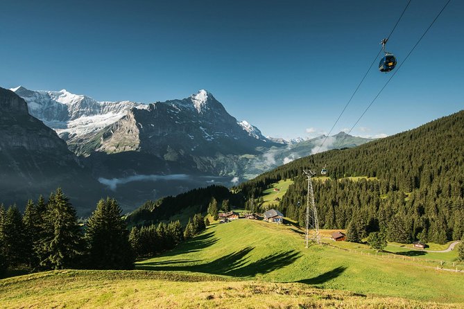 Interlaken and Grindelwald Day Trip from Lucerne - The guide factor: narration, humor, and meet-up precision