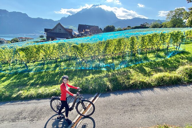 Lake Lucerne Peninsula e-Bike Tour - Stops and how the route usually feels in practice