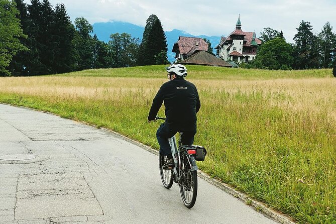 Lake Lucerne Peninsula e-Bike Tour - E-bike comfort, helmets, and what “moderate physical” actually means