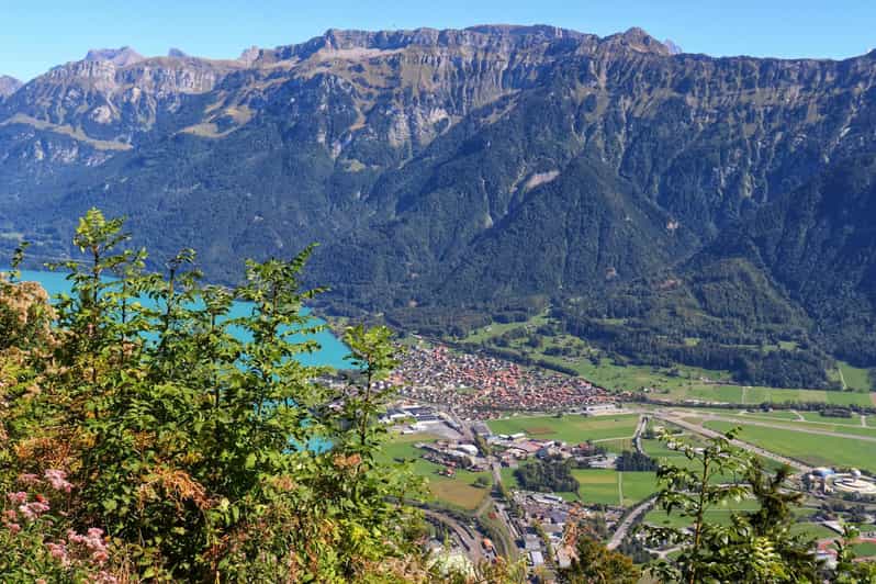 Lucerne: Interlaken & Grindelwald Exclusive Private Day Tour - A private day that connects Lucerne to the Jungfrau region