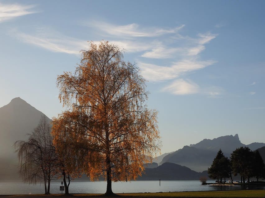 Lucerne: Interlaken & Grindelwald Exclusive Private Day Tour - Lake Brienz stop: a scenic “warm-up” before the towns