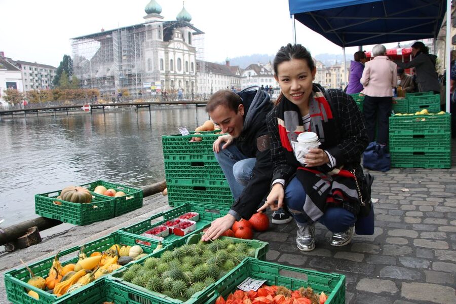 Lucerne: Private Walking Tour with a Local Guide - Chapel Bridge and Fritschibrunnen: The Start That Sets the Tone