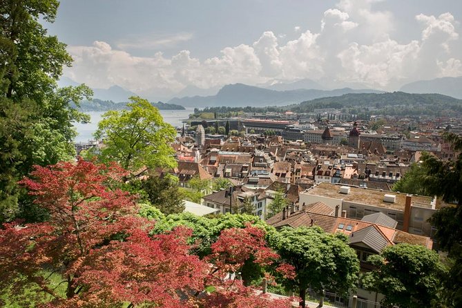 Lucerne Walking & Boat Tour: The Best Swiss Experience - Cheese Tasting Packages: A Nice Bonus If Food Is Your Priority