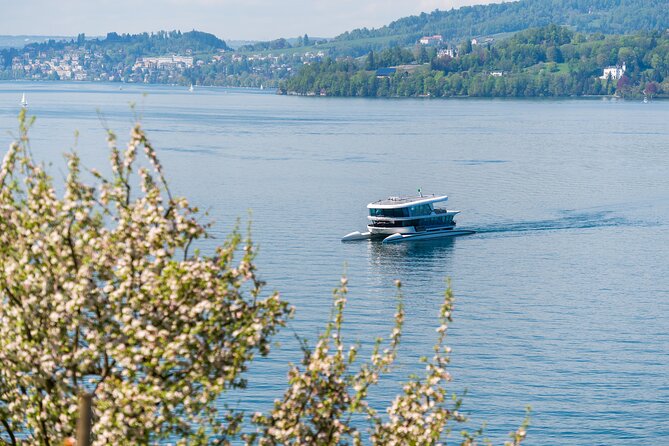 Mount Bürgenstock Independent Tour from Lucerne - Stop at Bürgenstock: what you do with one hour