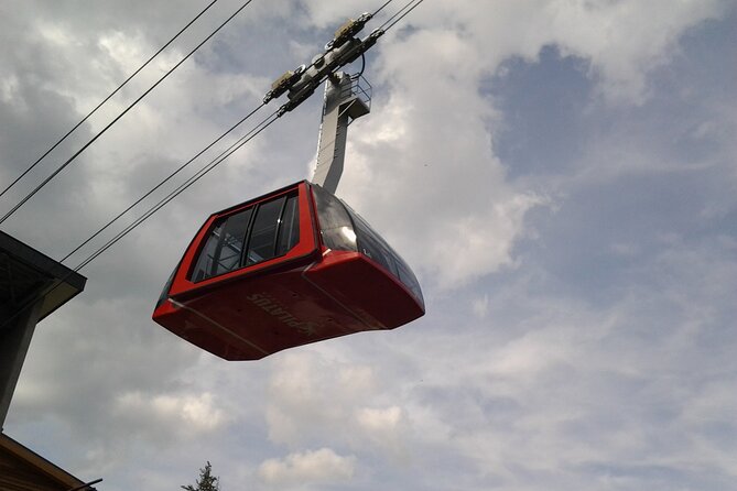 Mount Pilatus Small Group off-season Day Trip from Luzern - Meeting in Luzern: Zentralstrasse and the Easy Start