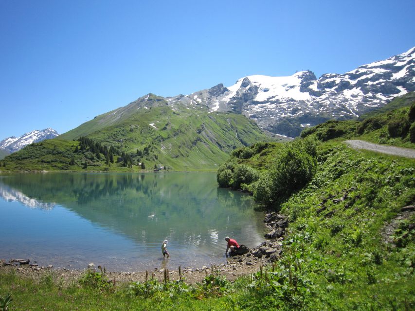 Mount Titlis: Admission Ticket - Who This Mount Titlis Ticket Fits Best