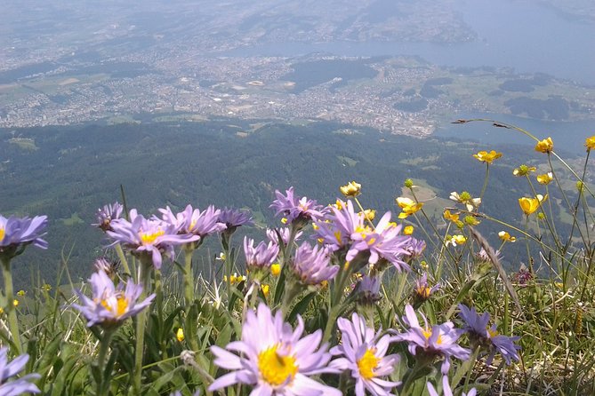 Mt. Pilatus Golden Roundtrip Private Day Trip from Luzern - Returning to Lucerne by local bus: the practical finish