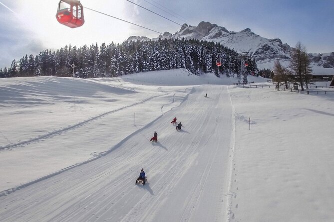 Mt. Pilatus Gondola and Aerial Cableway Ticket from Kriens - The Dragon Ride aerial cableway: fast, high, and very scenic