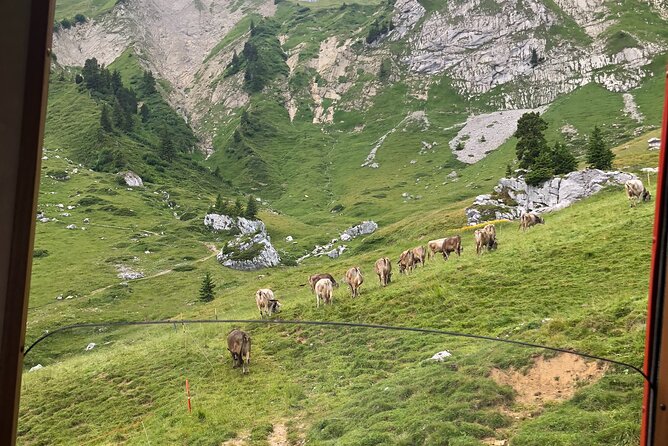 Mt. Pilatus with Lake of Lucerne Cruise Private Tour from Lucerne - Summit time on Pilatus: how to use your two hours