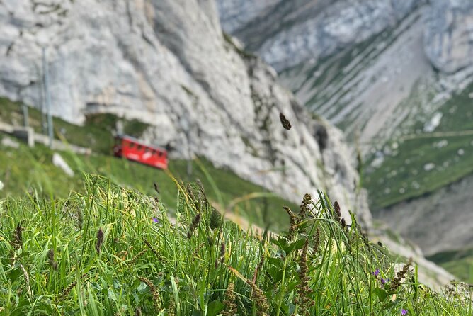 Mt. Pilatus with Lake of Lucerne Cruise Private Tour from Lucerne - Lake Lucerne cruise: 1st-class calm after the climb