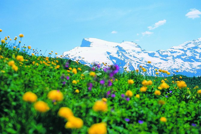 Mt Titlis Glacier Paradise Tour from Zurich With Lucerne - From Zurich by Coach: The Real Convenience Factor