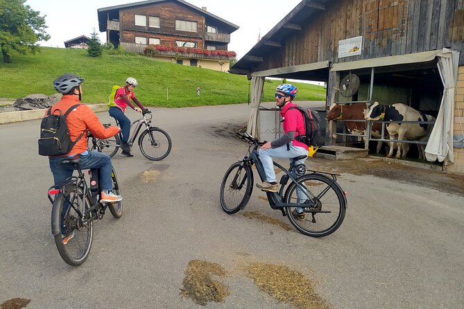 Panoramic E-Bike Tour with a Lake Cruise - Price and value: what you’re actually paying for at $729.65