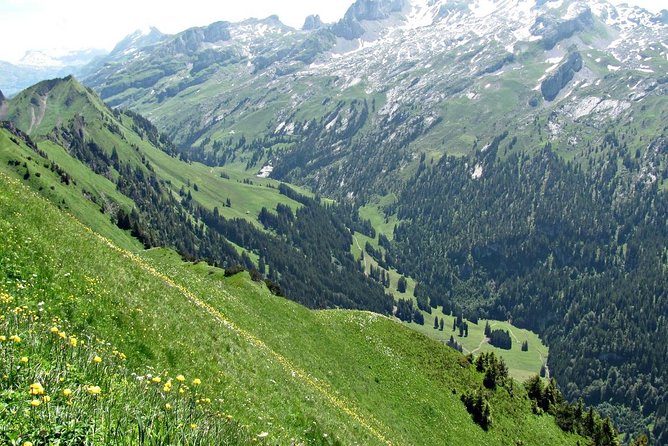 Peak to Peak Private Hiking Tour from Lucerne - Price and value: what $720.72 buys you in real terms