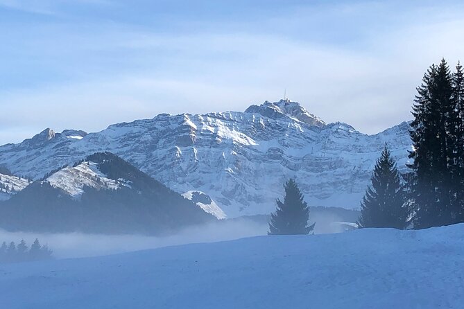 Private Guided Swiss Alps Day Trip from Zurich with Hotel Pick-Up - Schwägalp and the short pass walk: setting up for the summit