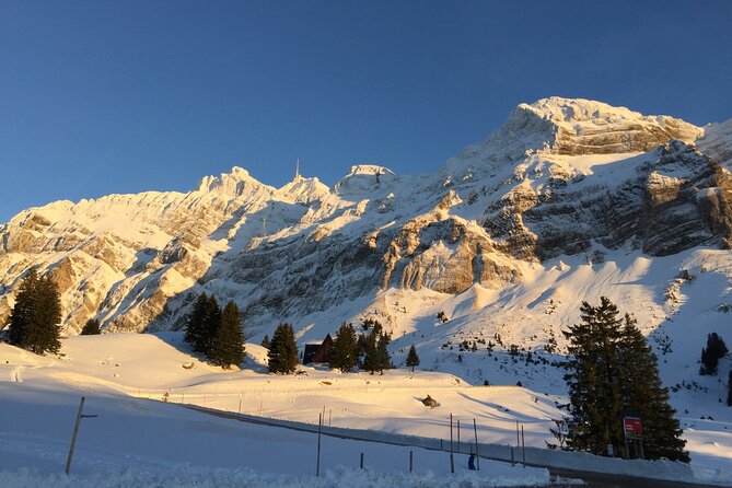 Private Guided Swiss Alps Day Trip from Zurich with Hotel Pick-Up - Pace, timing, and what to bring for a smooth day