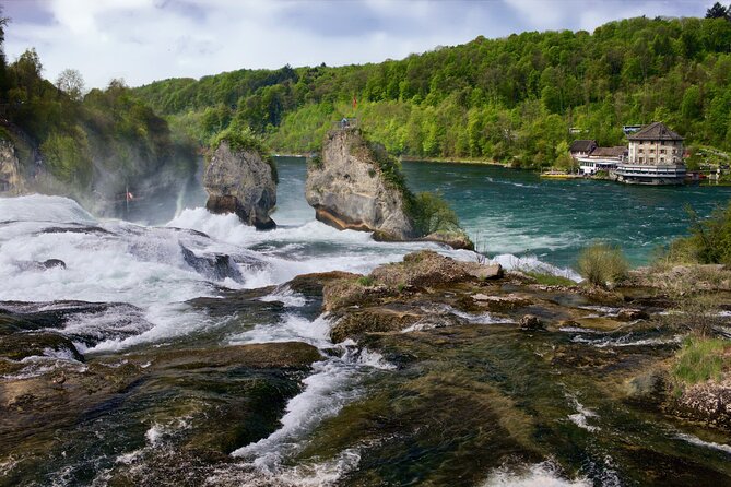 Private Half-Day Tour to the Rhine Falls with Pick-up at Hotel - Price and value: what you’re paying for at $236.69 per person
