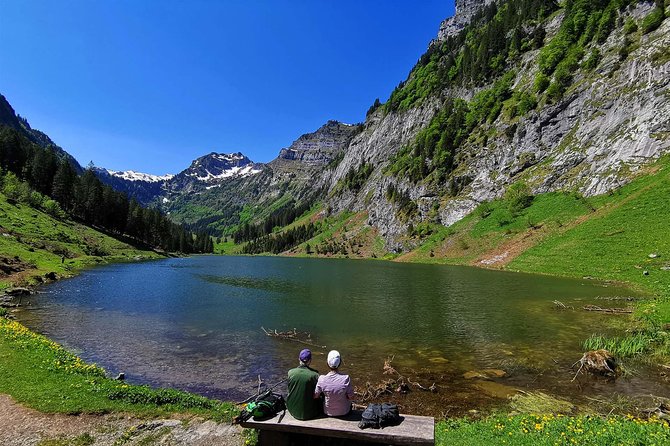 Private tour to the most breathtaking insider spots in Switzerland (1 day) - A one-day plan that feels custom, not crowded
