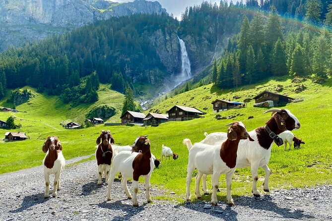 Private tour to the most breathtaking insider spots in Switzerland (1 day) - Hotel-door pickup around Zurich and the Lake Corridor