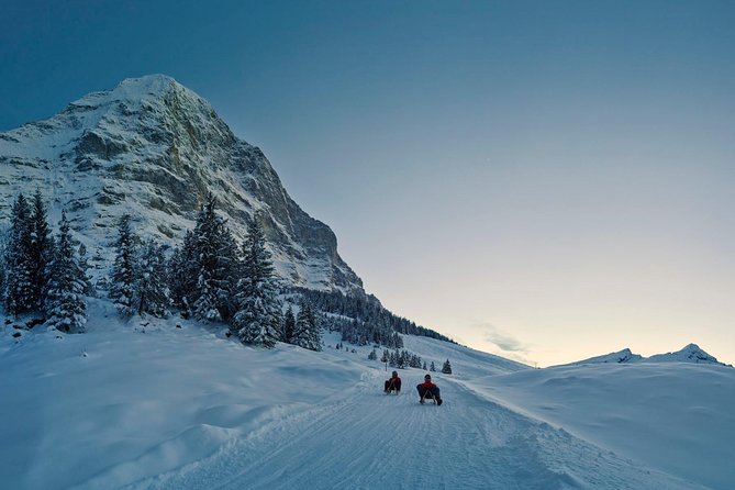 Private trip from Zurich to Jungfraujoch (The Top of Europe) - Key highlights worth knowing
