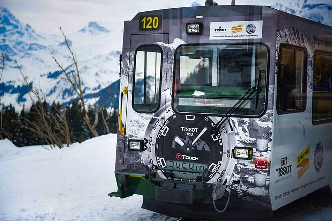 Private trip from Zurich to Jungfraujoch (The Top of Europe) - Driver-guide reality check: how to get the story you want