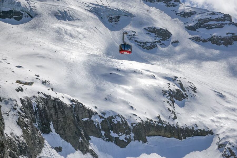 Private Trip from Zurich to Mount Titlis through Lucerne - Who this private Lucerne and Titlis trip is best for