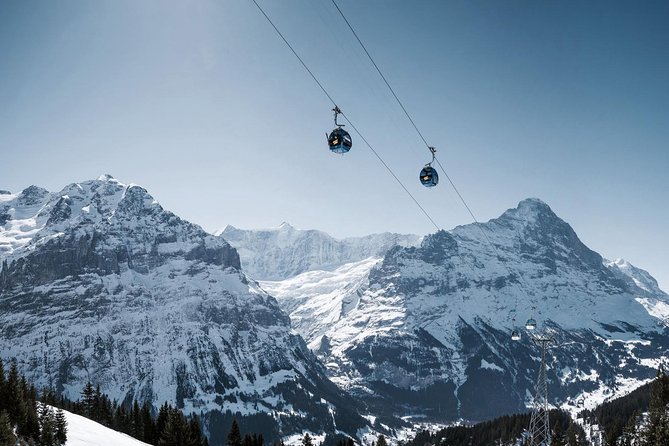 Swiss Alps: Interlaken and Grindelwald Day Trip from Zurich - Timing and Stops: Why the 11.5 Hours Can Feel Both Perfect and Long