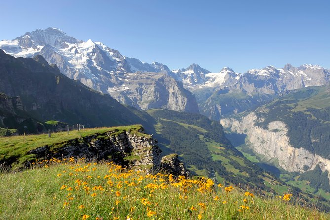 Swiss Alps: Interlaken and Grindelwald Day Trip from Zurich - Practical Tips That Will Save Your Day