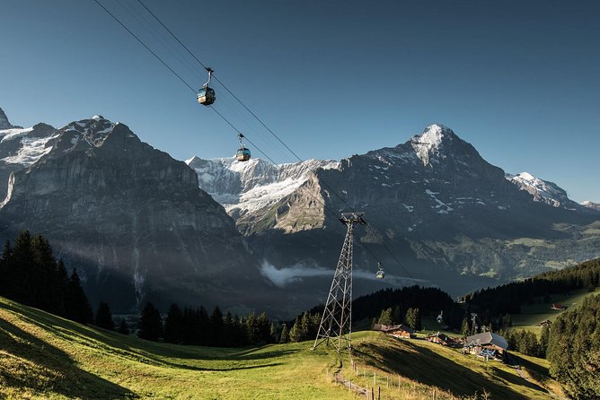 Swiss Alps: Interlaken and Grindelwald Day Trip from Zurich - Who This Tour Is Best For