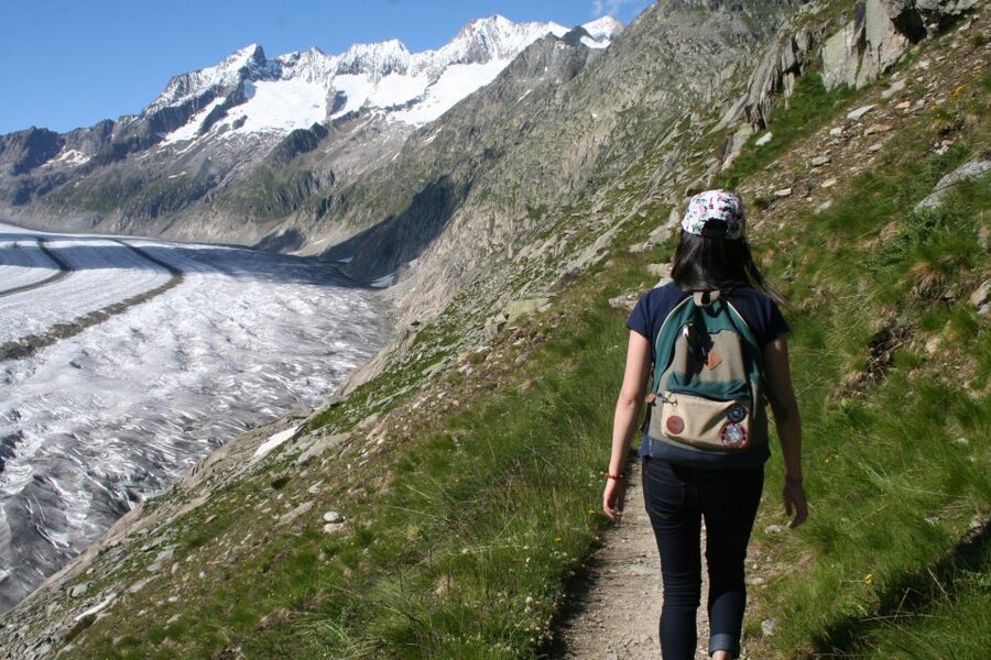 Switzerland: Private Day Tour by car with unlimited km - Price and Value: What You’re Actually Paying For