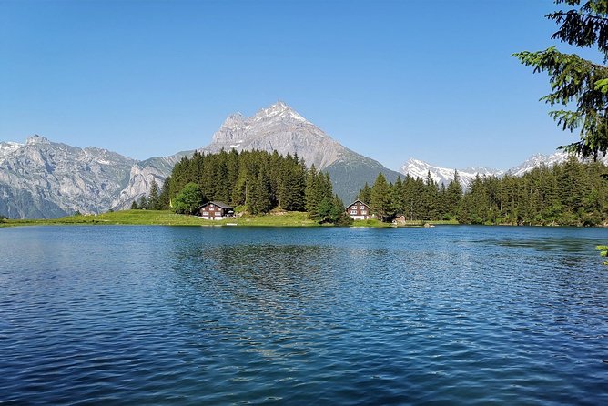 The Grand Switzerland Private Tour (5 days) - Day 1: Appenzell tea in a wooden house, mountain panorama, and a farm day
