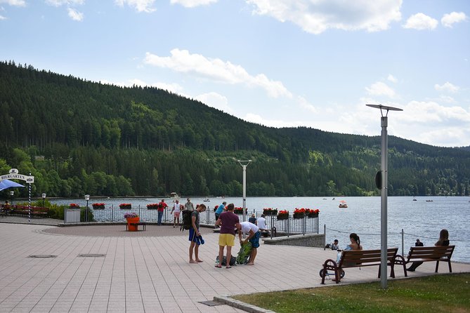 Trip from Zurich to Germany's Black Forest & Swiss Rhine Falls - Door-to-door from Zurich: the private-tour advantage