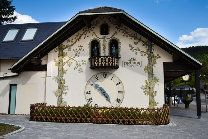 Trip from Zurich to Germany's Black Forest & Swiss Rhine Falls - The Black Forest in the mix: good views, but know what you’re signing up for