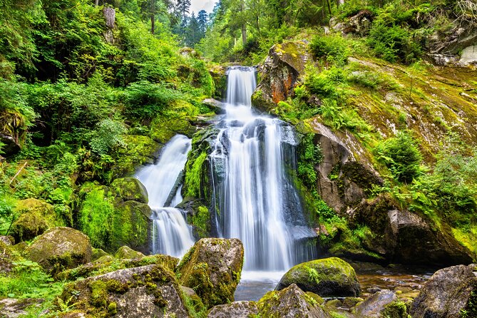 Trip from Zurich to Germany's Black Forest & Swiss Rhine Falls - Timing and comfort: a long day that still feels manageable