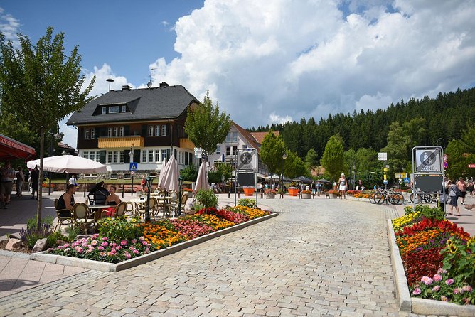 Trip from Zurich to Germany's Black Forest & Swiss Rhine Falls - Price and value: what you’re really paying for