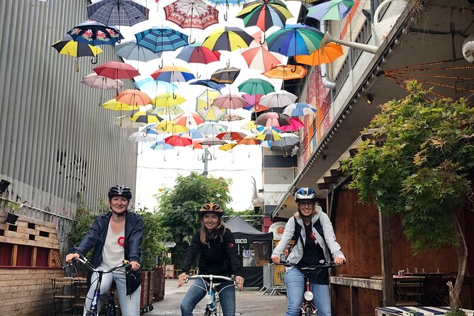 Urban Bike Tour Zurich - Bluntschlibrunnen and the Lake Promenade: Alps Views Without the Effort