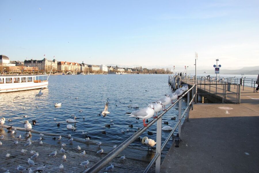 Zurich: 360° city walk including hidden spots - Niederdorf and medieval lanes: the longest stretch for a reason