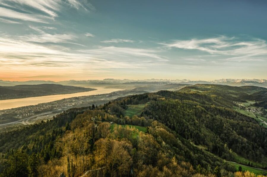 Zurich: Audio Guided City Tour and Train to “Top of Zurich” - Who should book this Zurich bus + Top of Zurich combo