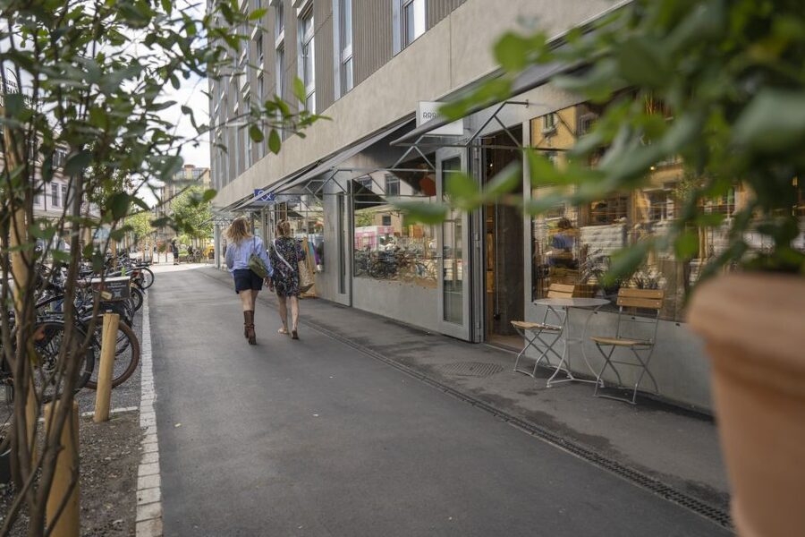 Zurich: City Walking Tour Made in Zurich - Price and value: what $19 buys you in Zurich