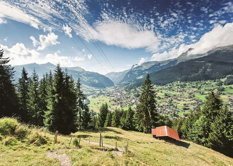 Zurich: Day Trip to Grindelwald, Interlaken & Lauterbrunnen - Price and what you actually get for $132