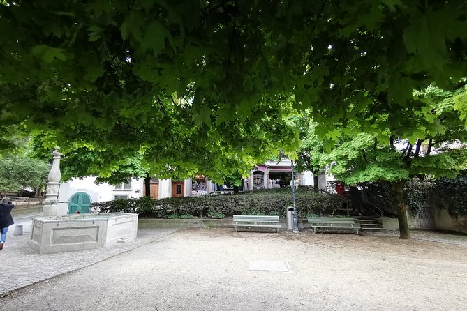 Zürich Historic District Tour - Price and What You Actually Get for About $43.94