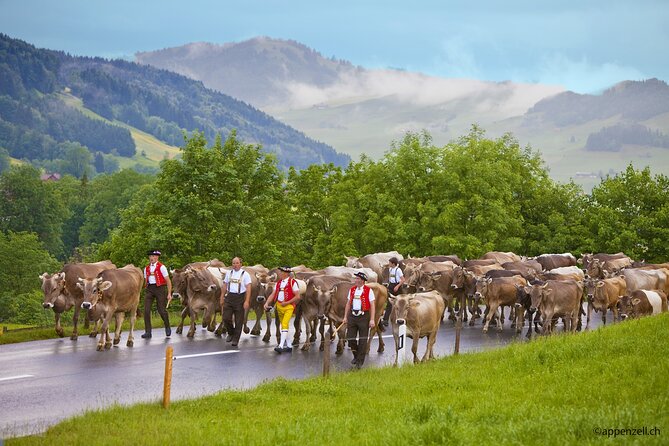 Zurich Open Top Bus, Chocolate and Cheese Factory Tour Appenzell - Appenzell village time: fresco streets and Landsgemeindeplatz