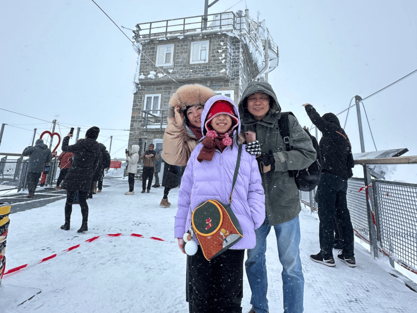Zurich: Private Day Trip to Jungfrau and Lauterbrunnen - Who this private tour fits best