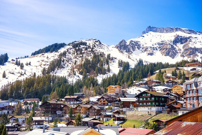 Zurich: Private Daytrip to Swiss Villages(Interlaken-Grindelwald) - Transportation reality check: private comfort, but watch the vehicle size