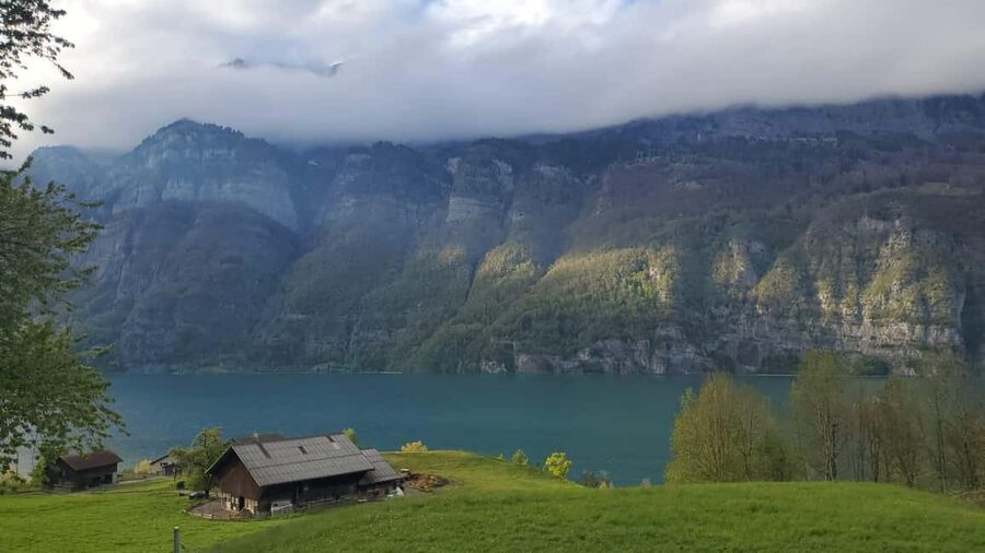 Zurich: Private Liechtenstein, Austria, and Germany Day Trip - Private Door-to-Door Comfort (and Guides Who Make It Click)