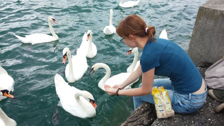 Zurich: Private Walking Tour with a Local Guide - Optional Add-Ons That Change the Whole Day